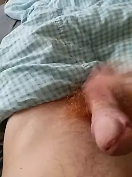 bodrika online show from 02-17-26, 02:57