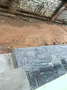 dolphiinn online show from 10-17-25, 02:48