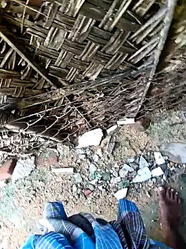 dolphiinn online show from 11-30-25, 04:27