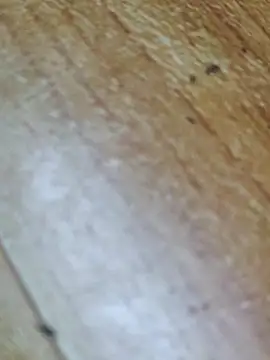 Snapshot of Markroco696 chatting on 10-12-25, 02:32 Markroco696 online show from 10-12-25, 02:32