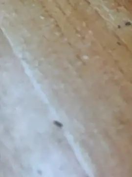 Snapshot of Markroco696 chatting on 10-16-25, 04:24 Markroco696 online show from 10-16-25, 04:24