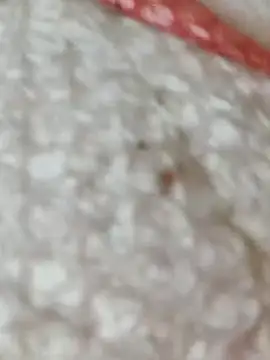 Snapshot of Markroco696 chatting on 11-15-25, 05:38 Markroco696 online show from 11-15-25, 05:38