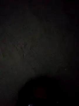 Snapshot of Brendaasnicar12 chatting on 11-13-25, 05:06 Brendaasnicar12 online show from 11-13-25, 05:06