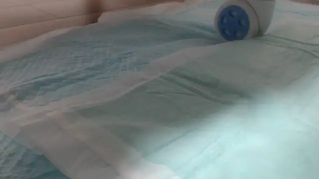 Snapshot of asuka_xoxo chatting on 10-19-25, 08:31 asuka xoxo online show from 10-19-25, 08:31