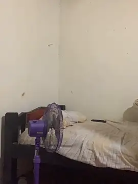 AE 03 online show from 02-12-26, 05:02