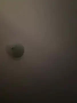 Troydaddy578 online show from 04-01-26, 04:24