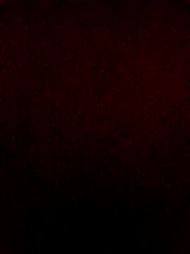 PunjabiSardarBull online show from 02-26-26, 07:13