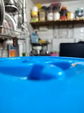 Snapshot of meenu_bhabhi547 chatting on 09-13-25, 06:35 meenu bhabhi547 online show from 09-13-25, 06:35