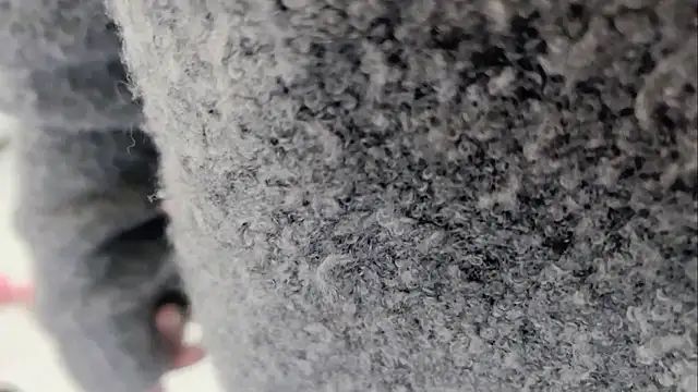 lingzi9333 online show from 11-26-25, 11:55