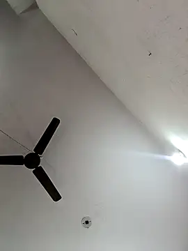 Appypie online show from 11-07-25, 06:13