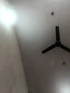 Appypie online show from 11-08-25, 05:51