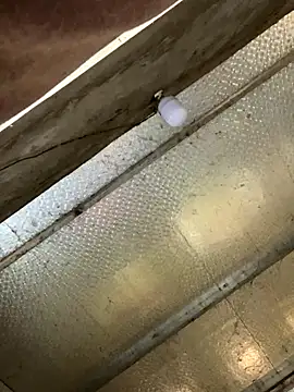 han-cute online show from 11-24-25, 06:24