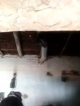 Sheema tyagi online show from 10-21-25, 07:31