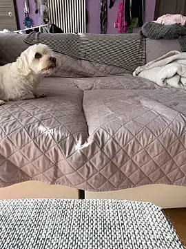 Snapshot of bananasex204 chatting on 10-25-25, 12:02 bananasex204 online show from 10-25-25, 12:02