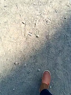 beerant online show from 11-16-25, 05:35