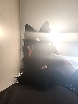 Wolf Okami SP online show from 01-14-26, 02:01