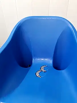 Snapshot of siya_rani67 chatting on 09-14-25, 03:38 siya rani67 online show from 09-14-25, 03:38