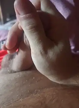 stunning stallion online show from 10-08-25, 07:17