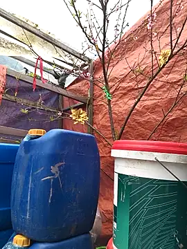 liu-liusexy online show from 02-15-26, 07:51