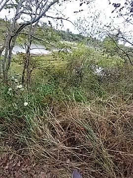 slaveman4you online show from 09-18-25, 12:40