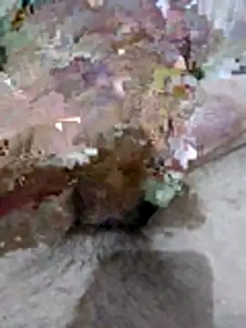 ElBoob2002 online show from 07-06-26, 11:40