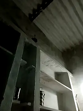 Payal950 online show from 11-08-25, 12:38