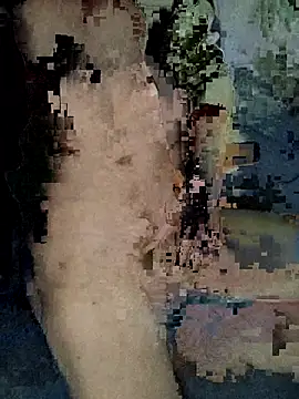 Snapshot of xxxxxcgbn chatting on 02-05-26, 04:17 xxxxxcgbn online show from 02-05-26, 04:17