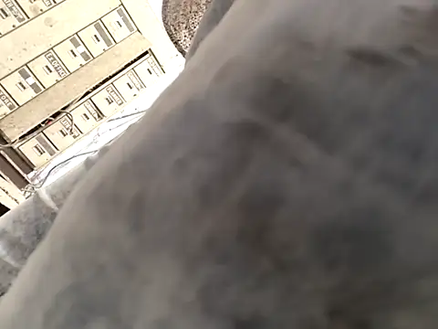 xyz-indian online show from 10-01-25, 10:43