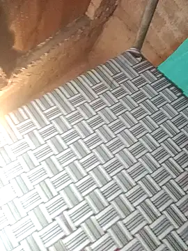 Snapshot of sadhna200 chatting on 11-29-25, 10:24 sadhna200 online show from 11-29-25, 10:24