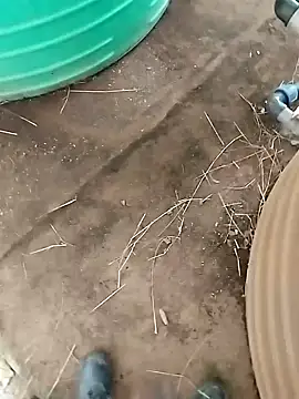 Snapshot of BigboyDick2 chatting on 10-20-25, 12:38 BigboyDick2 online show from 10-20-25, 12:38