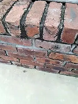 Snapshot of BigboyDick2 chatting on 11-14-25, 09:08 BigboyDick2 online show from 11-14-25, 09:08