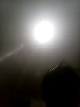 Bebicho14 online show from 11-13-25, 03:49