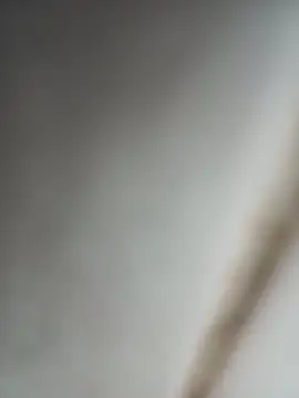 Jobson40 online show from 10-16-25, 12:11