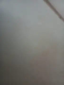 Jobson40 online show from 11-01-25, 12:01