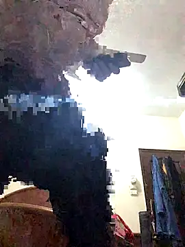 FlungBergenia online show from 12-21-25, 06:04