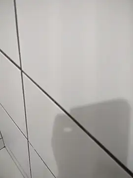 Novin23cms online show from 11-14-25, 11:24