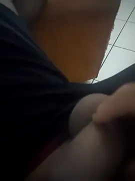 Novin23cms online show from 12-14-25, 05:13