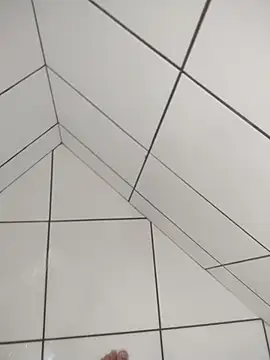 Novin23cms online show from 12-20-25, 11:28