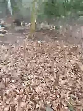 andymatthisbwc online show from 02-25-26, 02:59