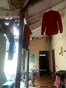 hairy mannn online show from 02-15-26, 02:14