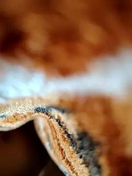 Hot lali 555 online show from 01-07-26, 02:41