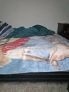 Snapshot of HomHot47 chatting on 11-09-25, 05:39 HomHot47 online show from 11-09-25, 05:39