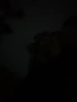 szk2412 online show from 02-16-26, 01:40