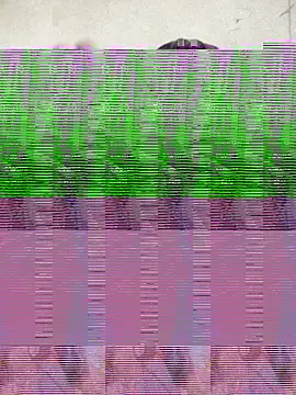 Silly Boy12 online show from 11-06-25, 08:32