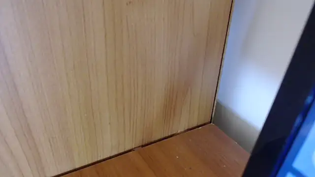 Pamela-StripX online show from 03-03-26, 08:37