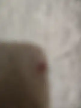 Snapshot of sert_erkekk chatting on 01-13-26, 09:42 sert erkekk online show from 01-13-26, 09:42