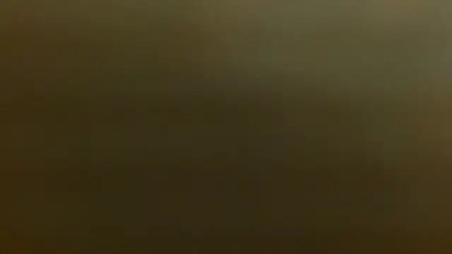 criss zuri online show from 12-02-25, 12:21