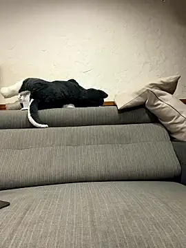 black xun online show from 01-16-26, 02:32