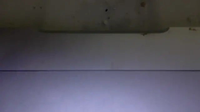 Snapshot of edger4lif3 chatting on 11-15-25, 06:59 edger4lif3 online show from 11-15-25, 06:59