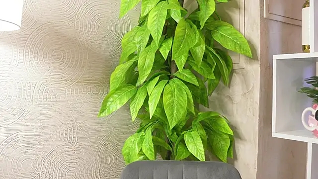 Snapshot of MarlinVarian chatting on 09-09-25, 06:13 MarlinVarian online show from 09-09-25, 06:13